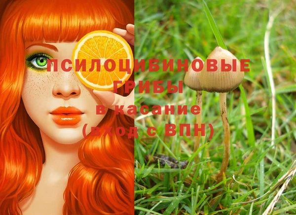 дмт Саяногорск