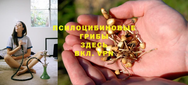 тгк Белокуриха