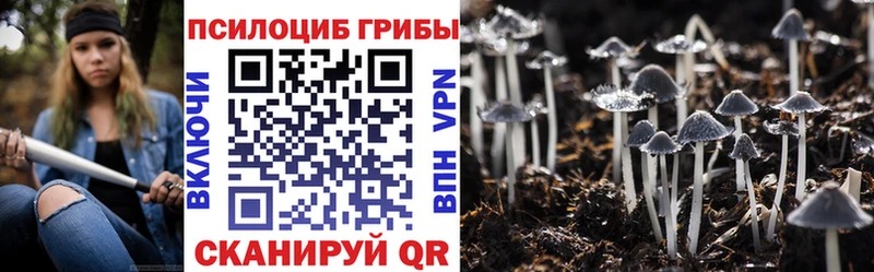 Галлюциногенные грибы Cubensis  Ильский 